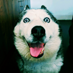 Abizaas's avatar