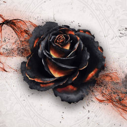 Zedsdead's avatar